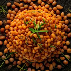 organic masoor dal 1